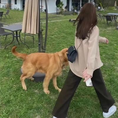 灵狐